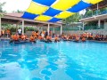 Tn DSC 6587